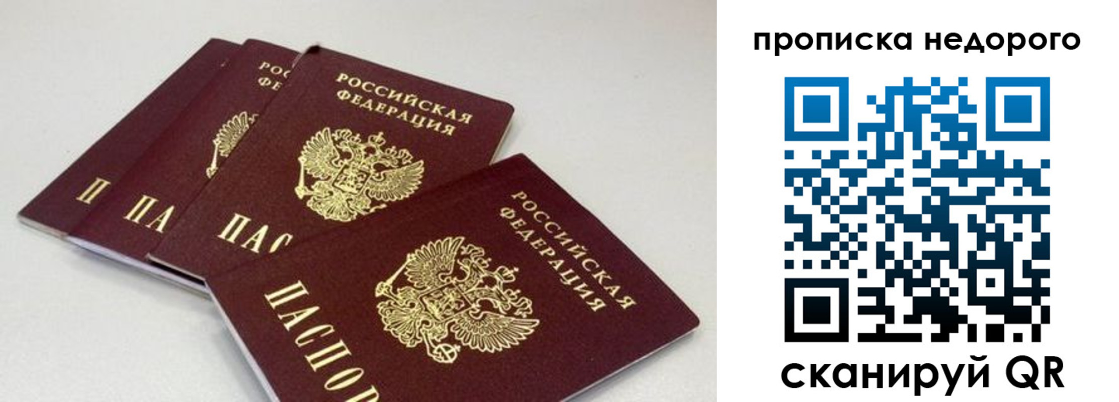 прописка штамп в Красном Куте